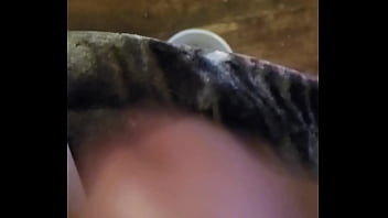 Snoweagle Pov Stoking