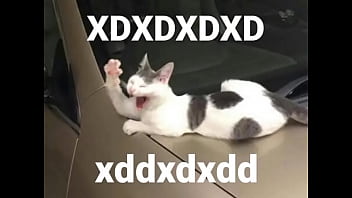 Jojo-and-apos-s, Anime-jojo - Unknown - 2025 - Passionate - Performance - Video 132029