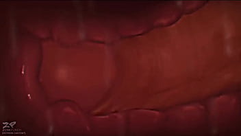 Braixen X Charizard (reversed)