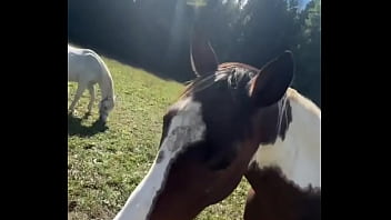 Will These Horses Bring Me To The Finish Line? #finishline #goals #horsepower #raceday #vibe #inkedmodel #tattooj...