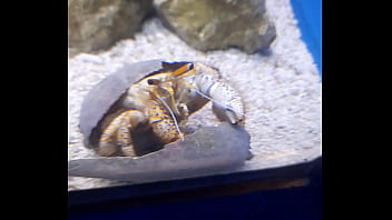 Verification Video - verification-video - Video 126847