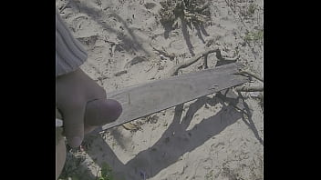 Amanhecer No Laranjal