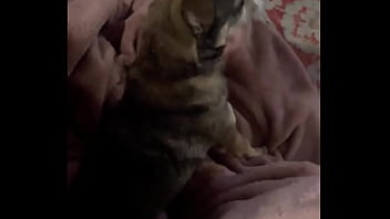 Braxton Makes Everything Better ️