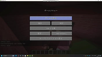 Minecraft Jenny Sex