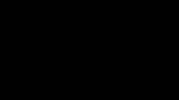 Verification Video - verification-video - Video 120065