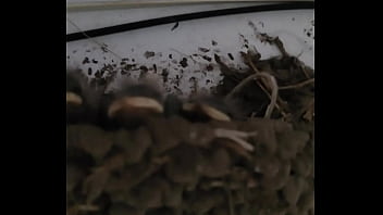 Verification-video - Unknown - 2025 - Hot - Performance - Video 113976