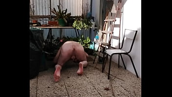 Le B_tard Met Les Plantes Sous Abri.