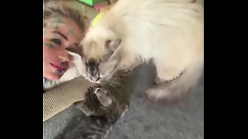 Cat Heaven :)-#facetattoo #inkedface #eyeballtattoo #cat #kitten