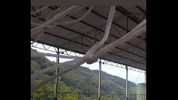 Humilhando Branquinha Putinha