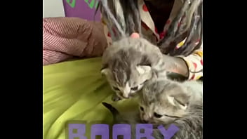 Rescued Pregnant Mia And Give Her Kittenzz A Good And Calm Life.