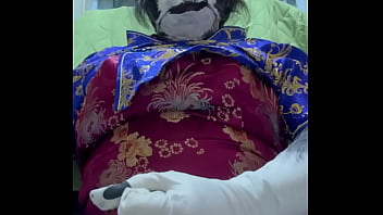 太ったハスキーのチャイナドレス