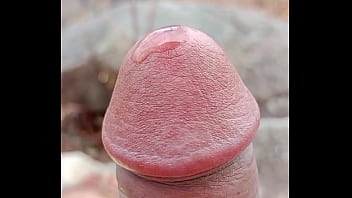 Minha Piroca Cabeçuda E Melada