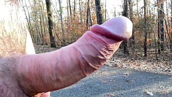 Clitlicker662 - update #21 - IMG 1257 - Nov 26, 2024