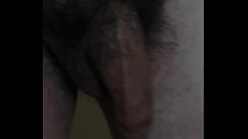 Verification Video - verification-video - Video 95448