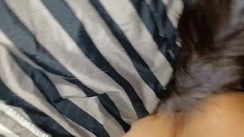 Verification Video - verification-video - Video 94607