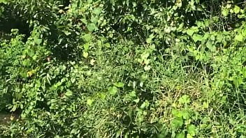 House Under Brian' Poa