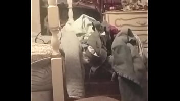 Using A Deodorant Can N A Coke Bottle To Fuck Myself In My Ass-pussy