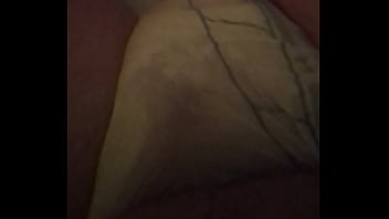 Chiot Patetic Joue Avec Sa Couche