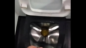 Dentro Do Banheiro Do _nibus.