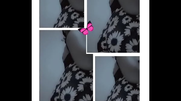 Envy Kenya - Kenya, African - Unknown - 2025 - Wild - Show - Video 76393