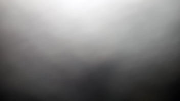 Vídeo De Verificação - verification-video - Video 82814