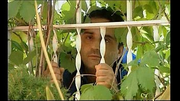 Anal, Cumshot, Hardcore, Blonde, Group, Dp, Foursome, Groupsex, Doublepenetration, Hardfuck, Blondie - Anal - 2025 - Steamy - Performance - Video 6565183