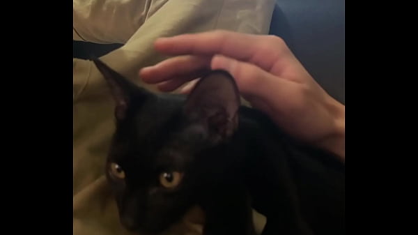 Verification-video - Unknown - 2025 - Steamy - Session - Video 67127