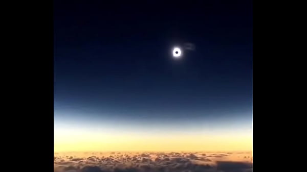 Verification Video - verification-video - Video 67115