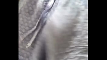 Meu Pijama Amanheceu Molhadinho