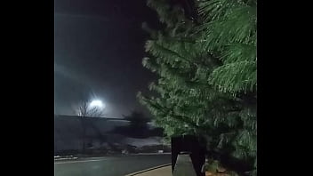 A More Misty Looking Background And How I Make An Entrance