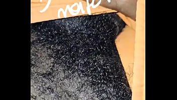 Boa noite! - Update #683 (2024-02-01T02:44:51.000Z)