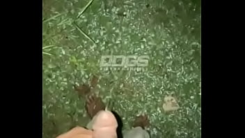 Verification Video - verification-video - Video 44590