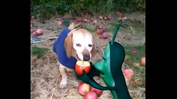 Big-cock, Cum-in-mouth - Unknown - 2025 - Amazing - Scene - Video 49065