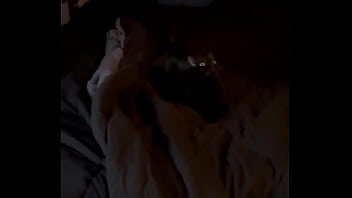 Trying To Give Goblin A New Toy