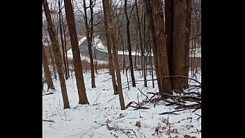 Morning Spider Walk In The Snow 2