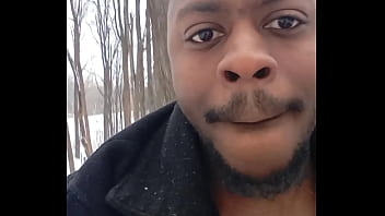 Morning Spider Walk In The Snow 3