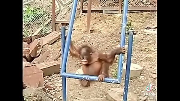 Sad, Mono - Unknown - 2025 - Amazing - Experience - Video 16890