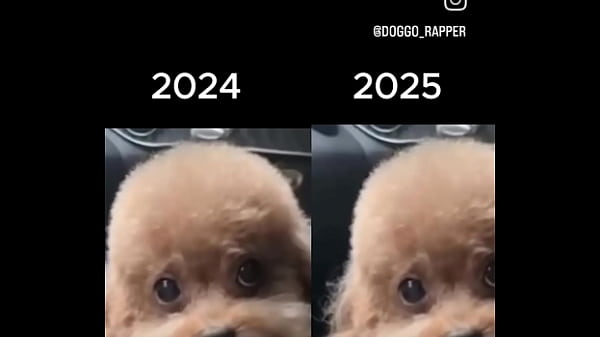 Creampie, Asiatica - Creampie - 2025 - Intense - Experience - Video 17323