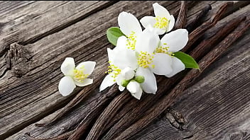 La Primera Guerra Mundial En 20 Minutos Corto Y Facil Yt: Haroo