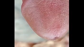 Que Tesão Esse Meu E Que Cabeção Essa Minha Piroca Tem Eita