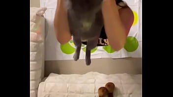 Latina Teen Big Ass Colombiana