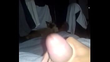 Vídeo De Verificação - verification-video - Video 12400