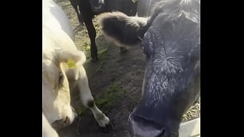 I Am A Country Girl At Heart! Would You Have Thought? I Find My Peace In Nature, Soaking Up The Sun And Embra...