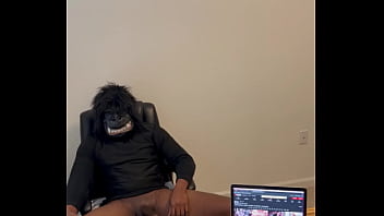 Verification Video - verification-video - Video 2598