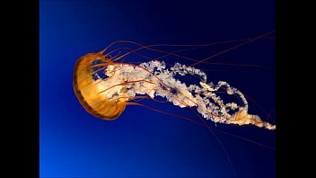 3some - Unknown - 2025 - Passionate - Session - Video 6551407