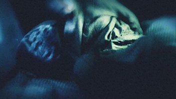 Filthy Fragments From Five-fingered Flemish Fucker