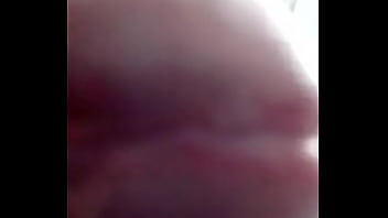 Gordito Sin Verguenza