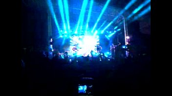 Unknown - 2025 - Wild - Scene - Video 6130124