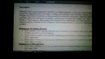 Unknown - 2025 - Amazing - Show - Video 6550400