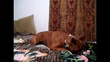 Nice Chick With Sexy Ass